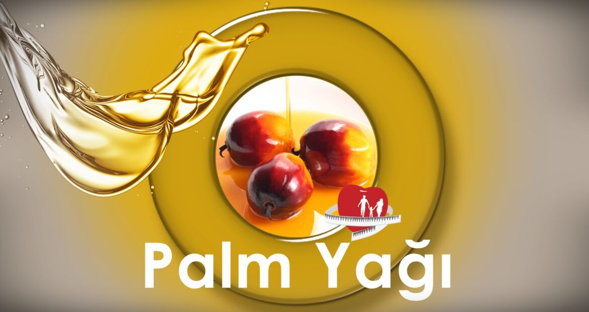 palm-yagi.jpg