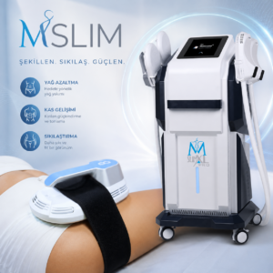 mslim bölgesel incelme izmir